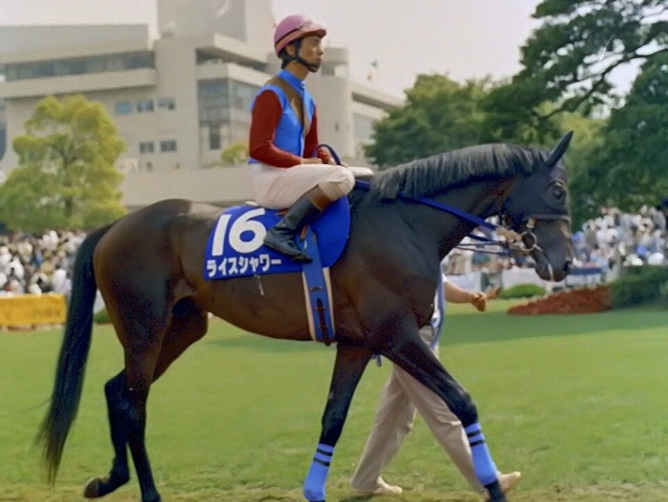 (출처: 위키피디아)