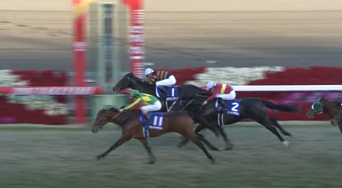 2016 아리마 기념, 목 차이로 키타산 블랙(안쪽 2착)을 추월하는 사토노 다이아몬드(바깥쪽 선두)