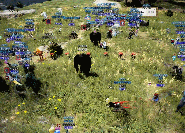 어린이날에 모험가들과 소풍을 떠나 의자뺏기 놀이를 하던 추억