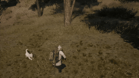 펫은 귀엽고 유능하게 활약한다