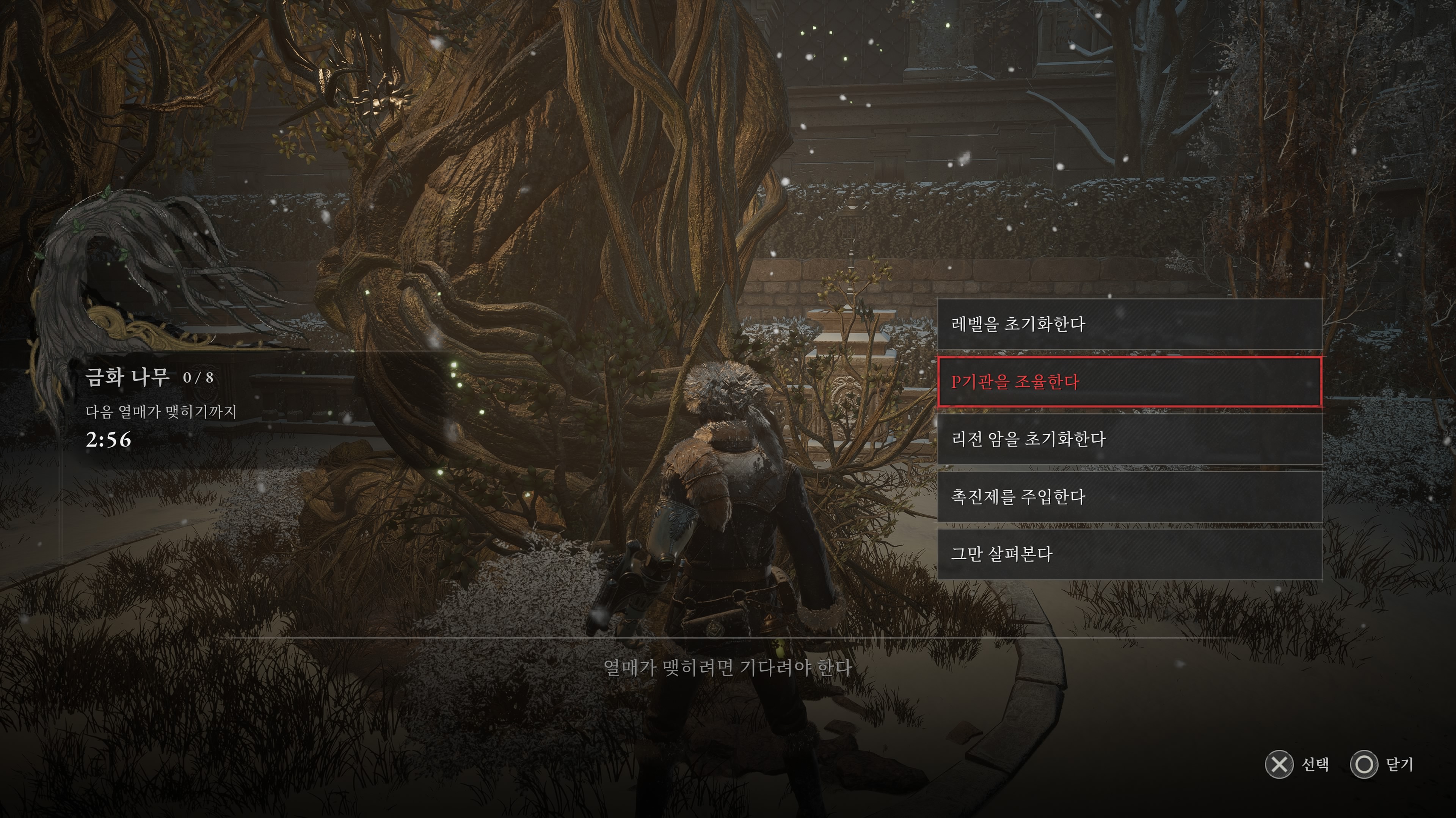 P기관 초기화는 금화나무에서 할 수 있다.