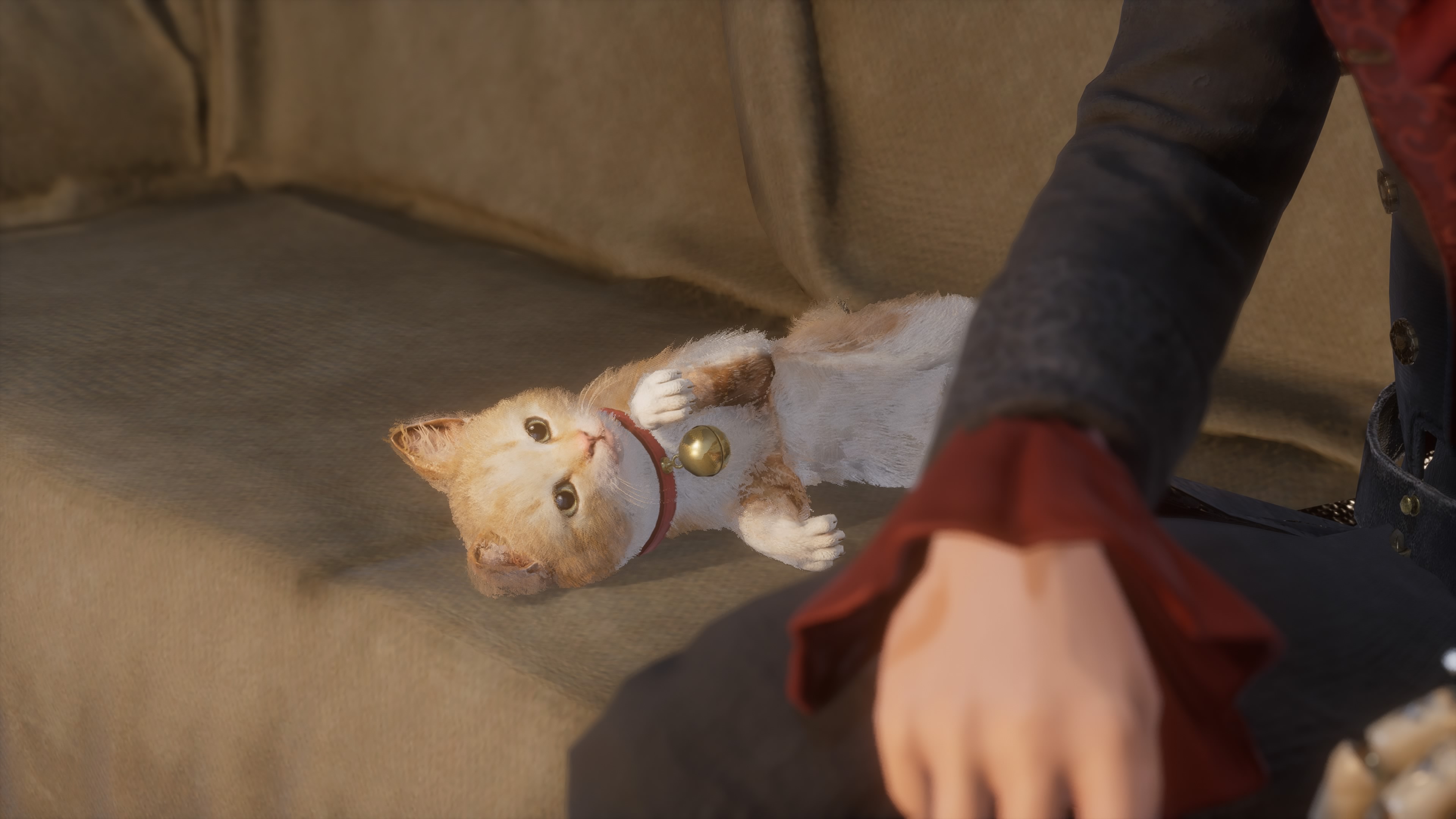 사실 고대 원반으로 얻을 수 있는 아이템 중 가장 귀한 것이 이것이다!