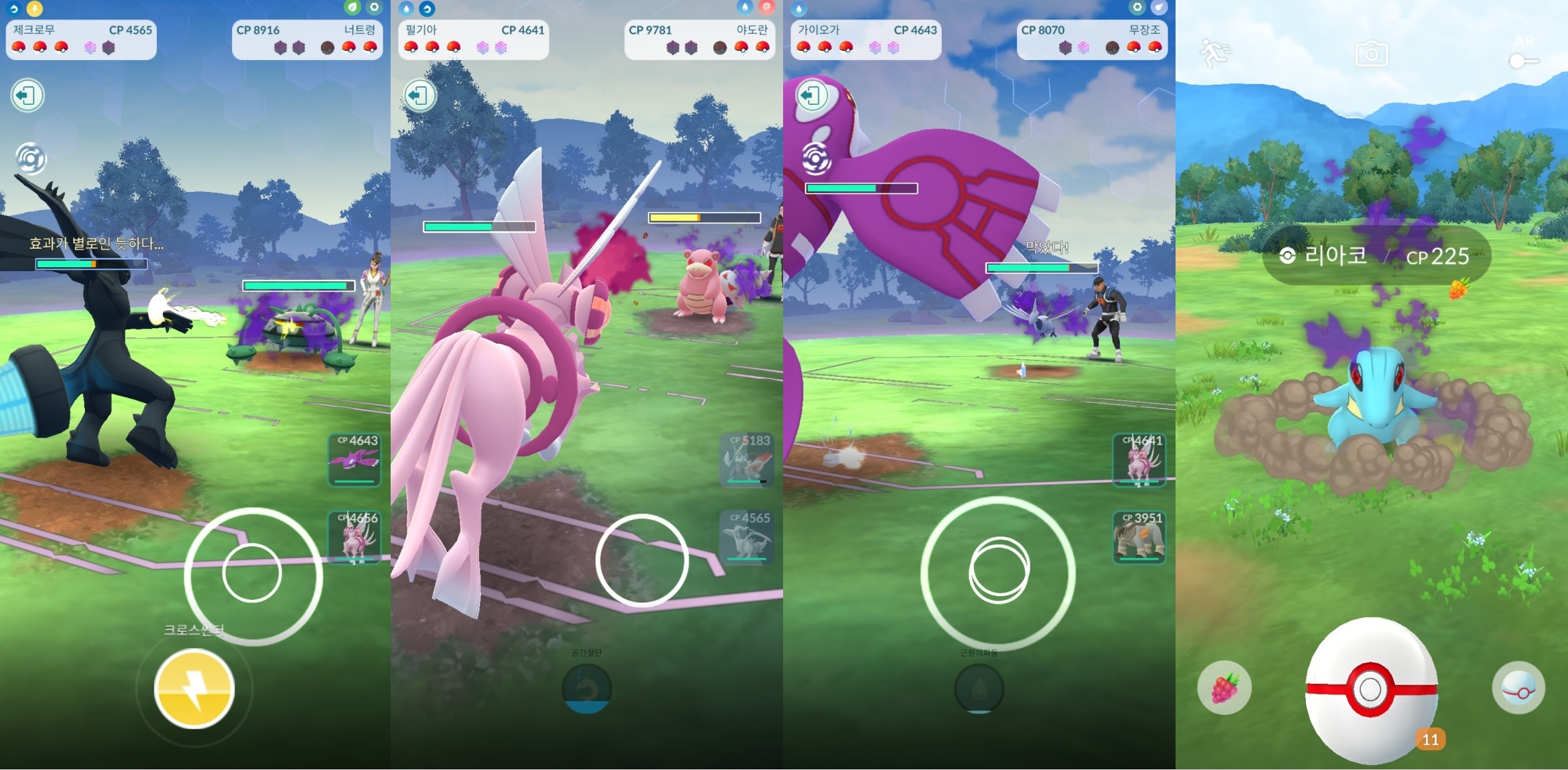 파티에 펄기아가 있는 이유는 특훈 중이기 때문이다. 