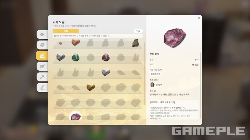 가족 도감 채우기만 목표로 해도 갈 길이 멀다